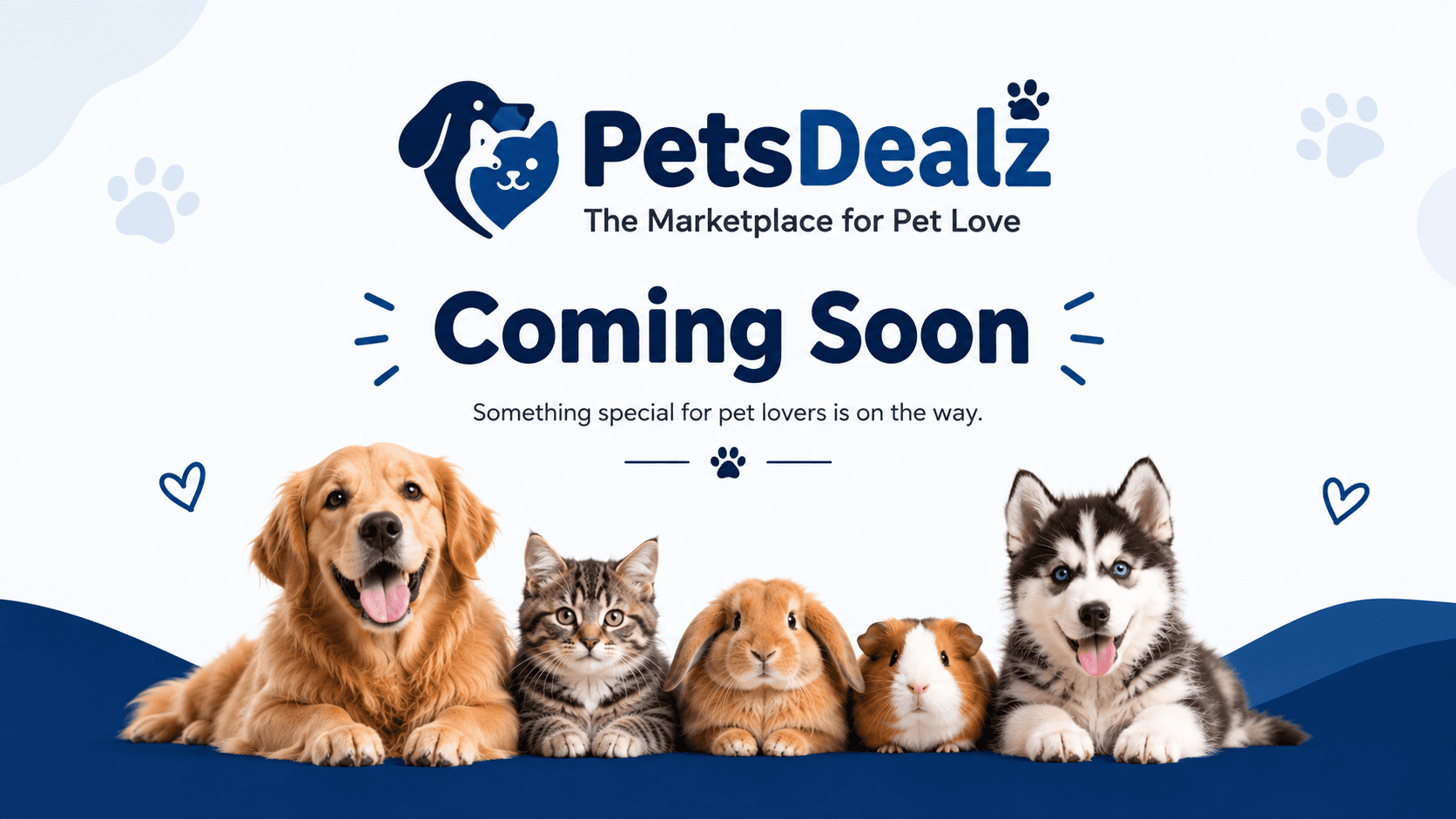 PetsDealz Coming Soon